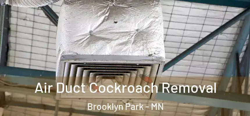 Air Duct Cockroach Removal Brooklyn Park - MN
