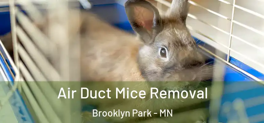  Air Duct Mice Removal Brooklyn Park - MN