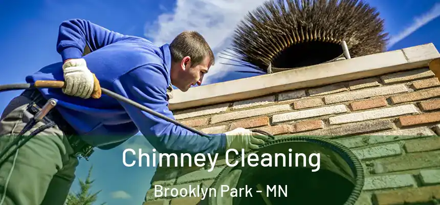 Chimney Cleaning Brooklyn Park - MN