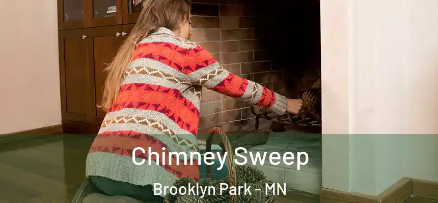  Chimney Sweep Brooklyn Park - MN