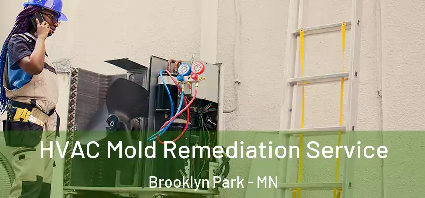 HVAC Mold Remediation Service Brooklyn Park - MN