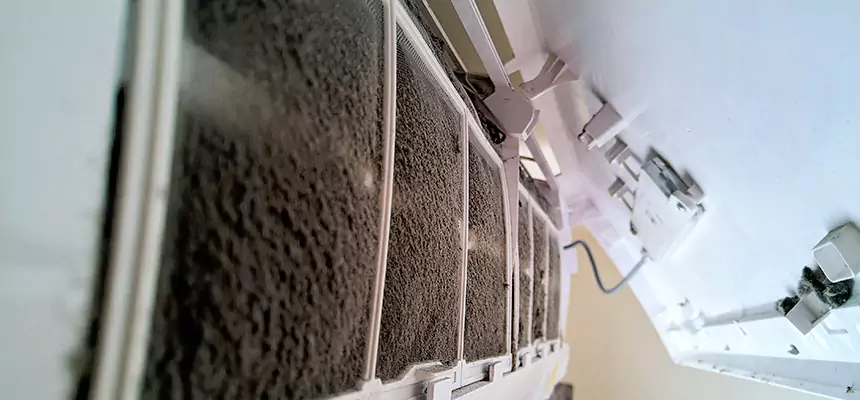 Preventive Air Duct Bacteria Removal in Brooklyn Park