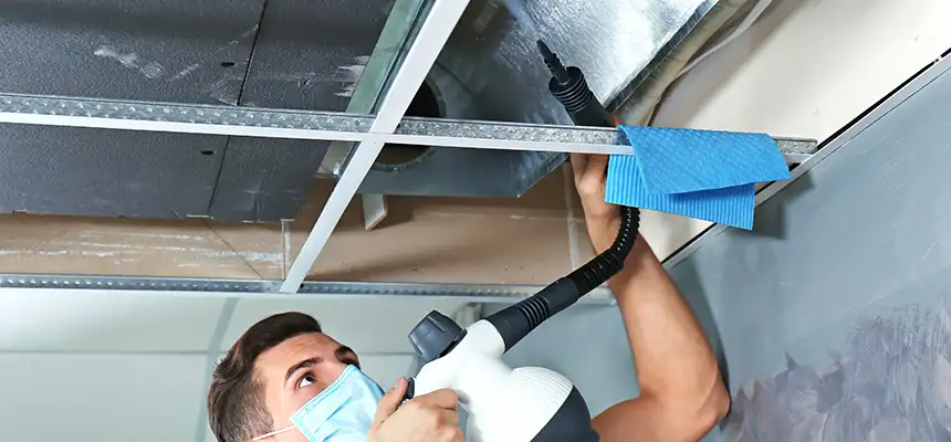 Our Air Duct Rodent Removal Services in Brooklyn Park, MN