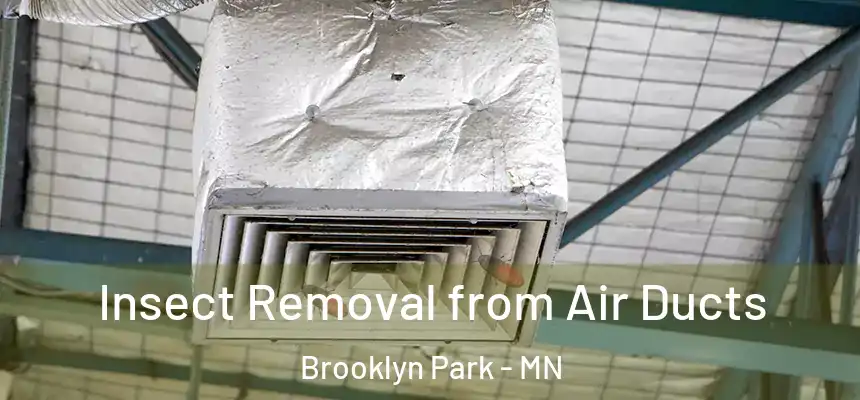 Insect Removal from Air Ducts Brooklyn Park - MN