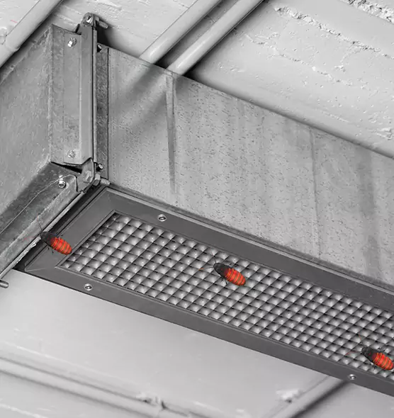 About Air Duct Cockroach Removal in Brooklyn Park, MN