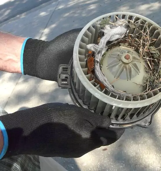 About Air Duct Rat Removal in Brooklyn Park, MN