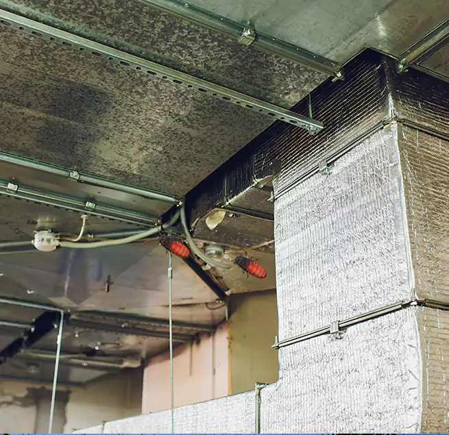 Why Homeowners & Businesses Trust Us in Brooklyn Park, MN?