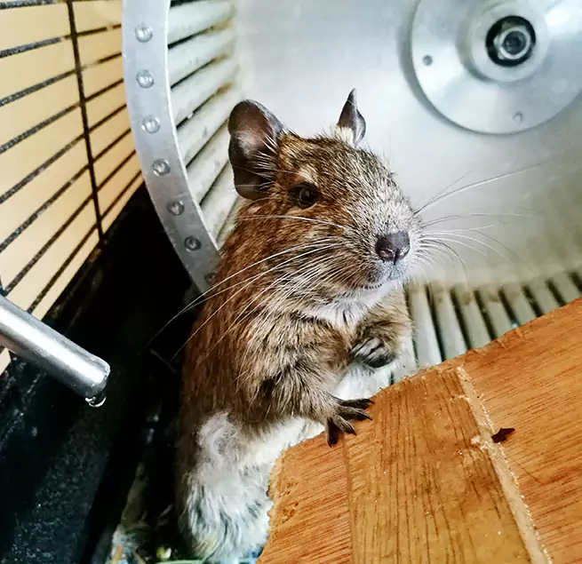 Why Homeowners & Businesses Trust Us Brooklyn Park, MN?